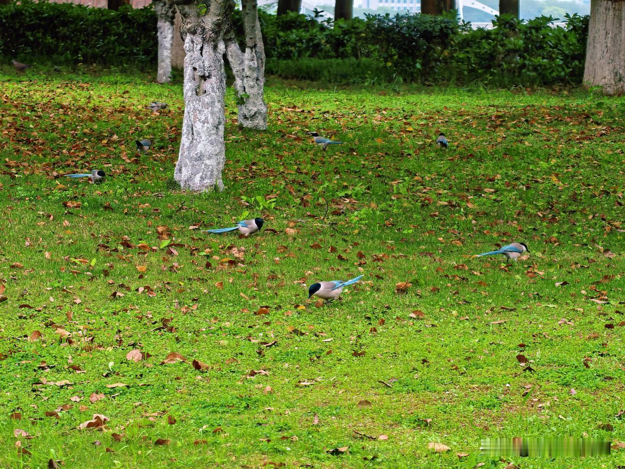 市民公园随手拍～