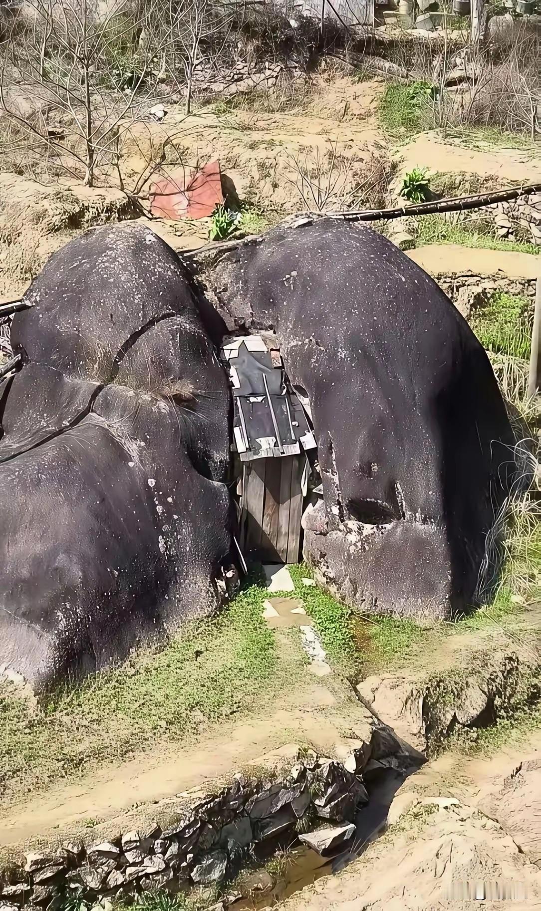 这个房子盖的真奇葩，造型先不说，首先不通风，而且根本没有采光可言。

估计就是一