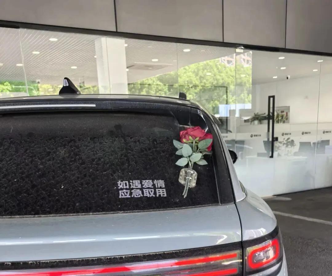 遇到一小车后写着，如遇爱情，应急取用。但现在这个浮躁社会，这个物欲横流的现状，一