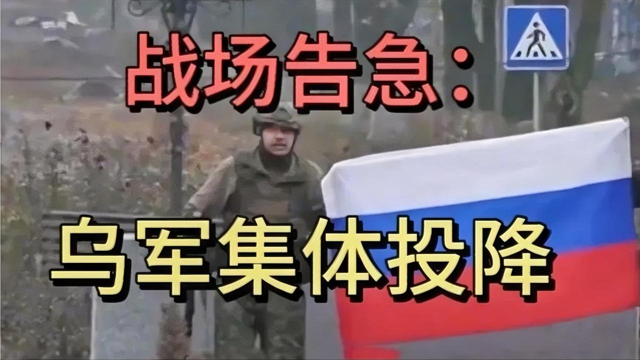 战场告急：乌军集体投降，俄军大获全胜！🇷🇺🇺🇦