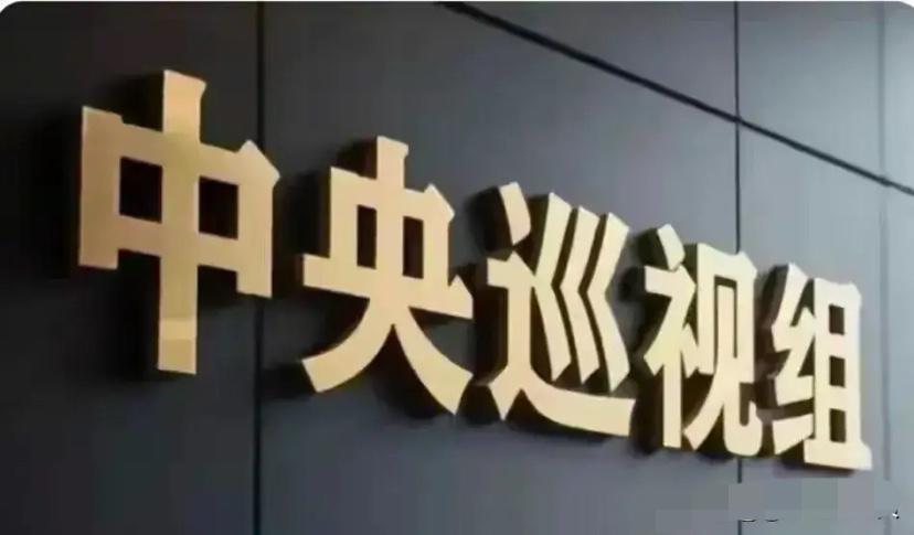 看到第8轮巡视对象公布后！
我就在想，如果能在巡视组工作多么好啊，当个巡视员多么