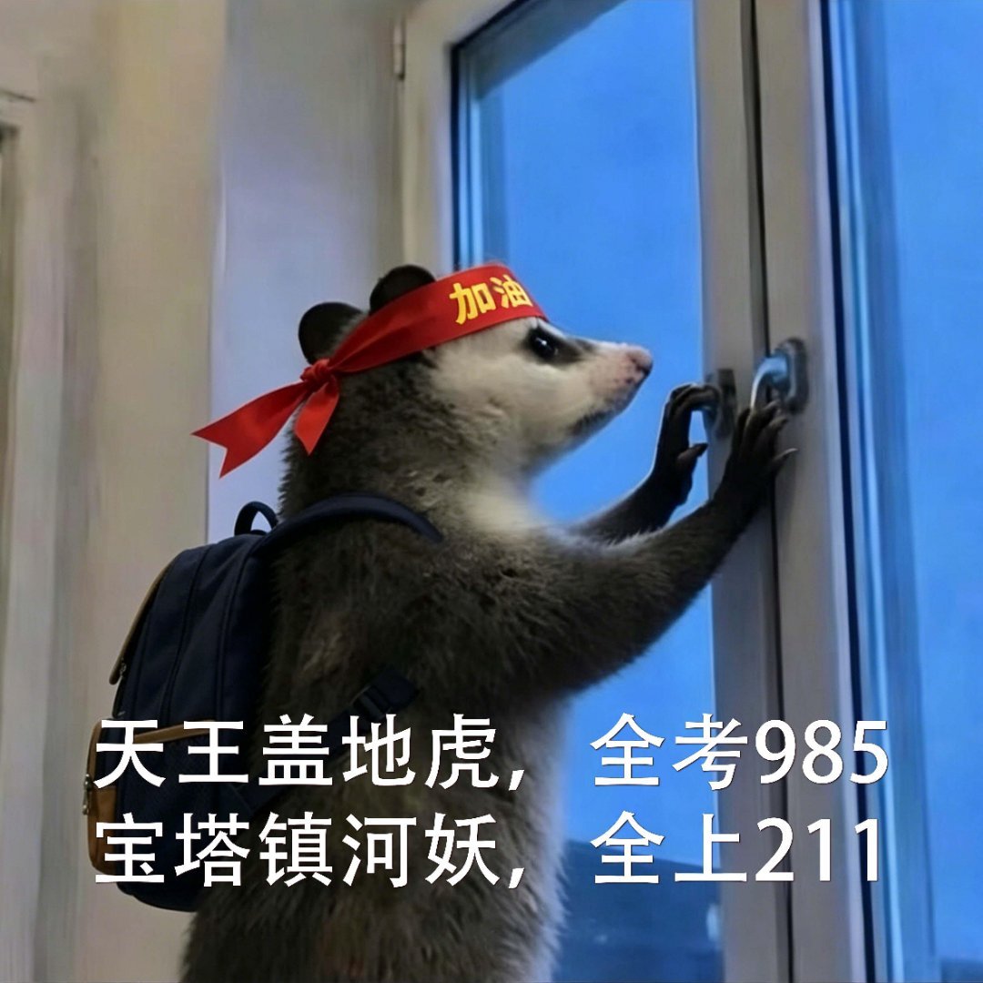第一批在千问建档的人已经去玩了报考流程一步步捋顺，每天花点时间规划就行，再也不用