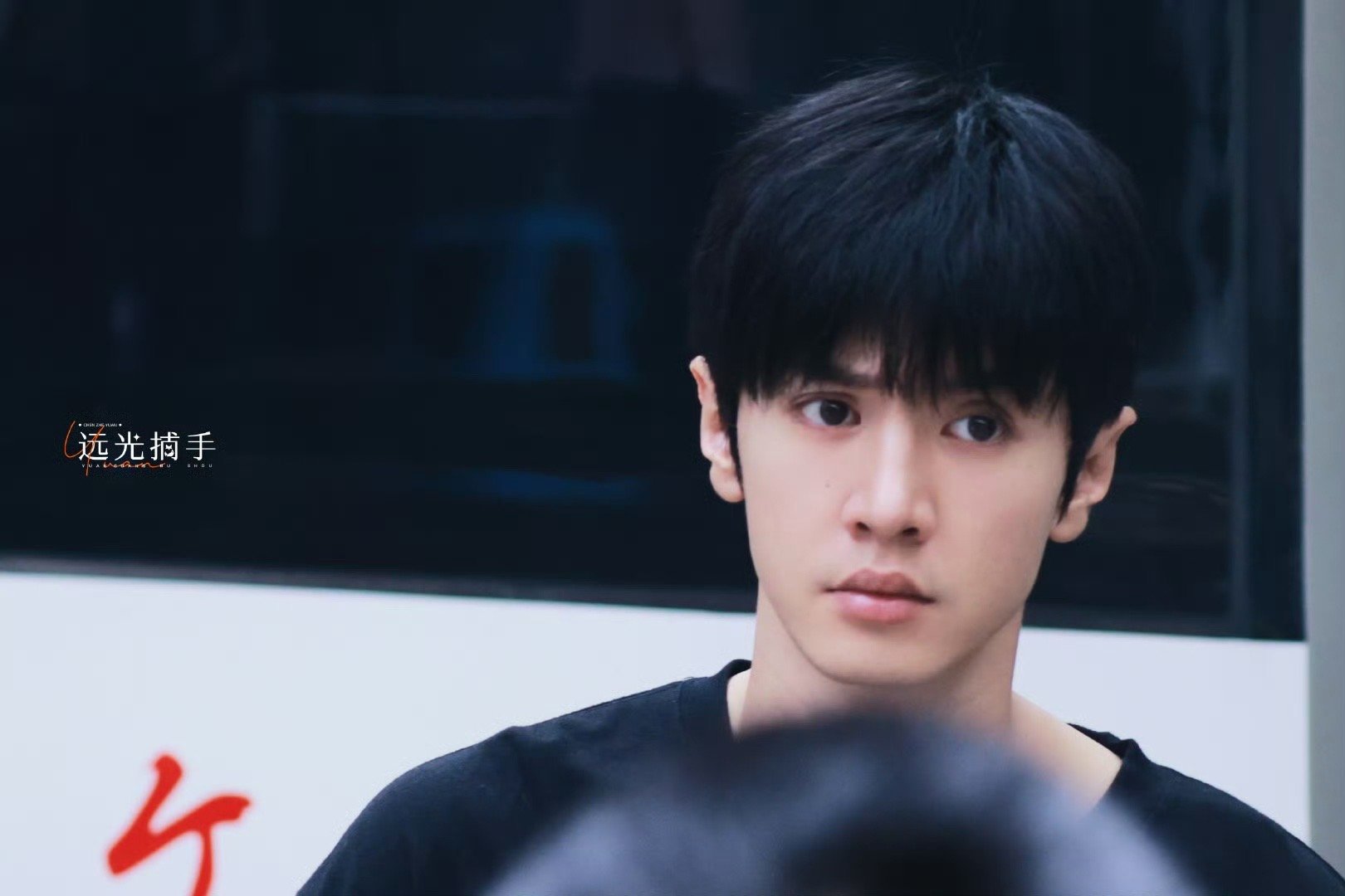 这萌萌的大眼睛和萌萌的表情～cr：见水印 ​​​