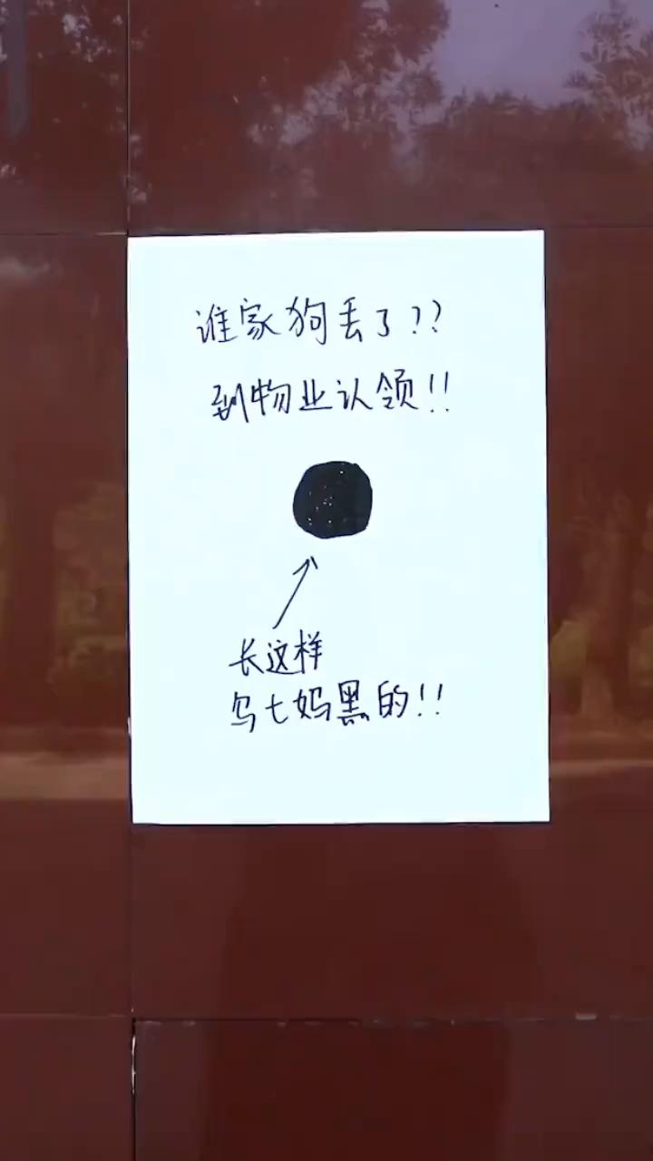 哈哈哈哈哈哈哈哈哈哈。