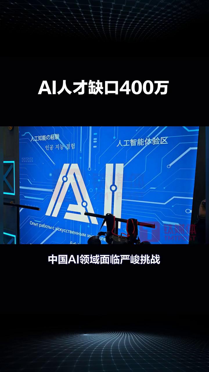 AI人才缺口400万。
中国AI领域面临严峻挑战，预计到2030年人才缺口或达4