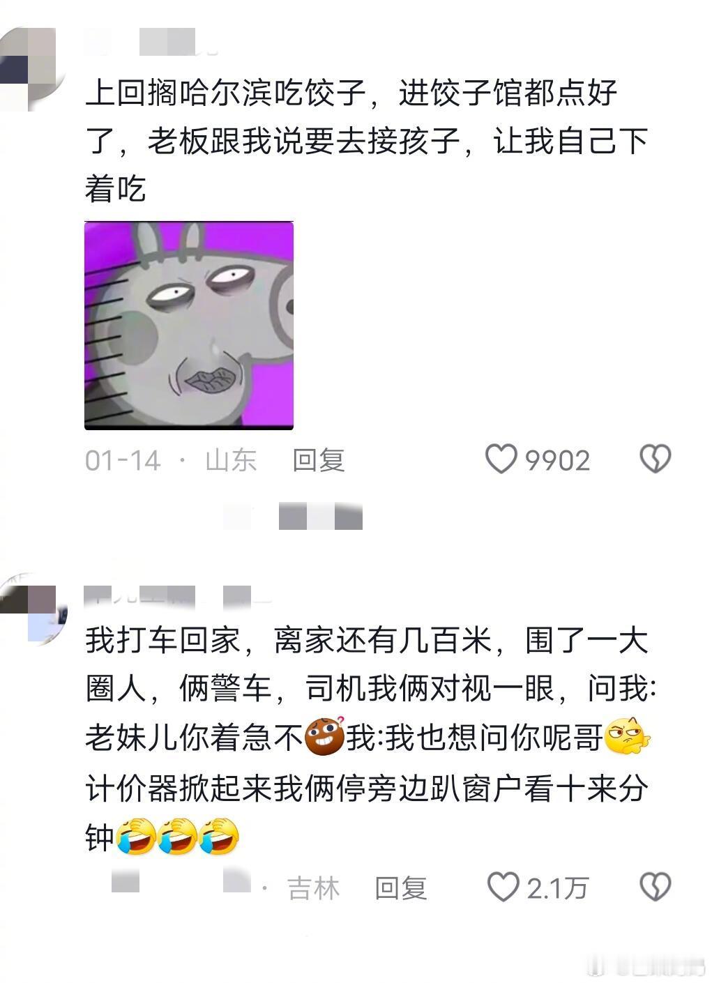 好欢乐的评论区，东北人的超绝松弛感[笑cry] ​​​