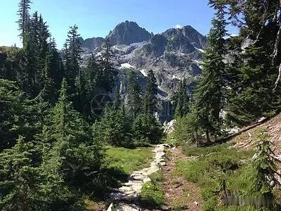 走山时若遇到麻达山、遭熊舔、遇空门和不开眼时怎么处理？
在山林中漫步时，如果遇