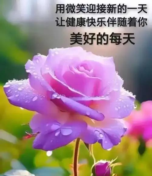 [微风]人生路[微风]
人生来就啼哭，
预示路非坦途。
活着千辛万苦，
不怕艰难