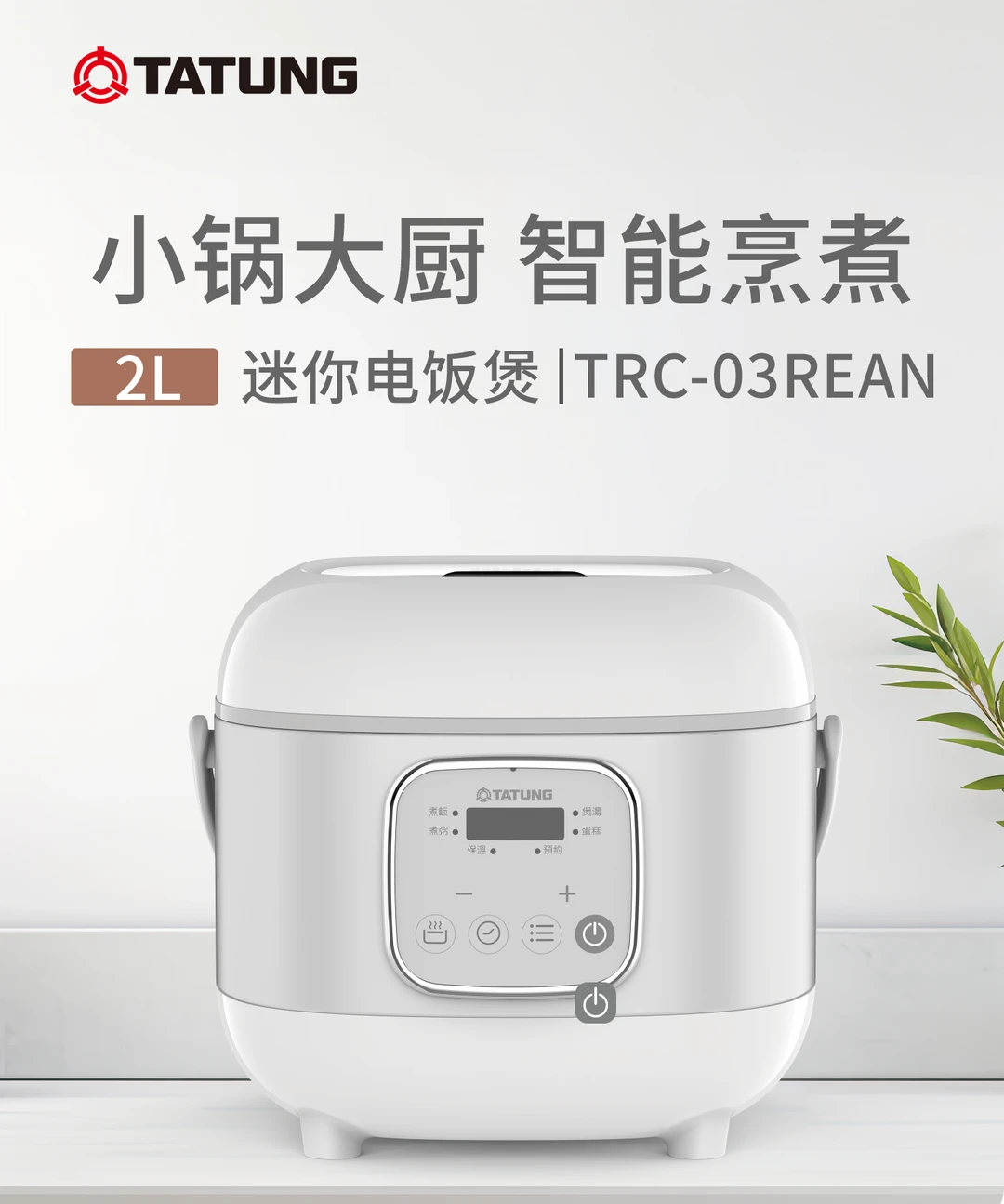 大同2L智能迷你电饭煲 全新上线🍿