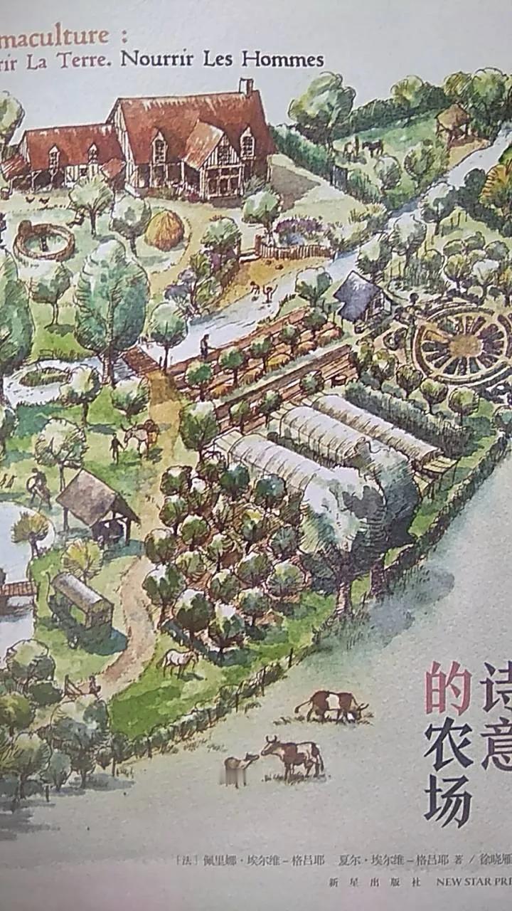 经济的终点并不是要追求更多而是追求更好。
——让-菲利普·布拉德和克里斯蒂安·加