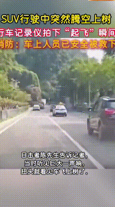 离谱！重庆一SUV直接"飞"上树悬空卡住，司机开门一看不敢动
 8月5号上午，重