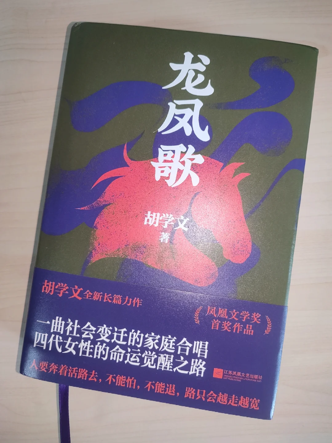 🐉龙凤胎传奇，乡土新篇章，故事超带感❗