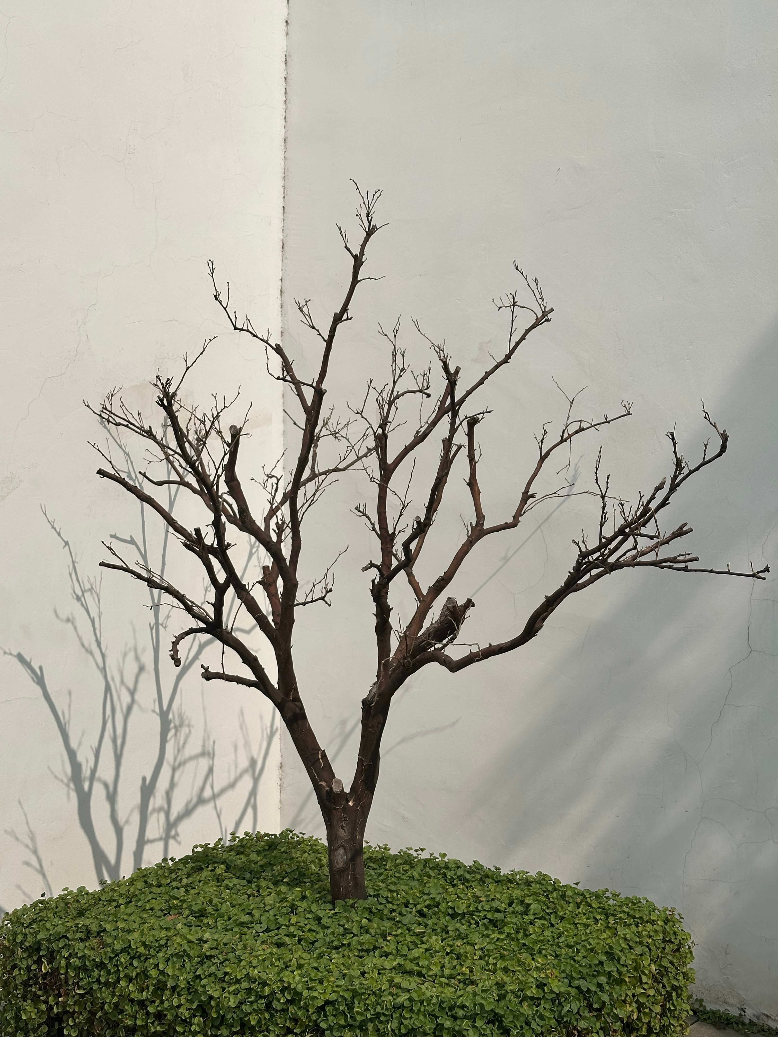 人生路上，要学会善待，善待他人，可以让人生走得更远；善待自己，可以让生命活得滋润