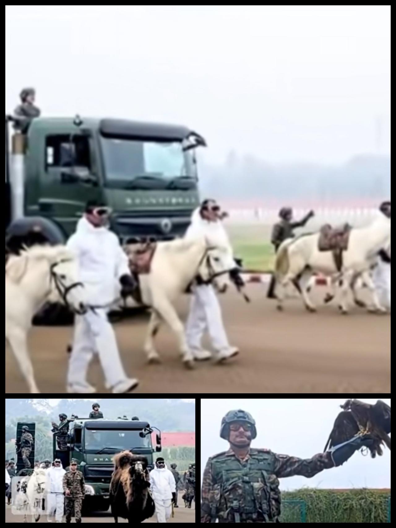 三哥又整活了，印度2026年共和国日阅兵式确定会首次亮相动物方队，这支特别的队伍