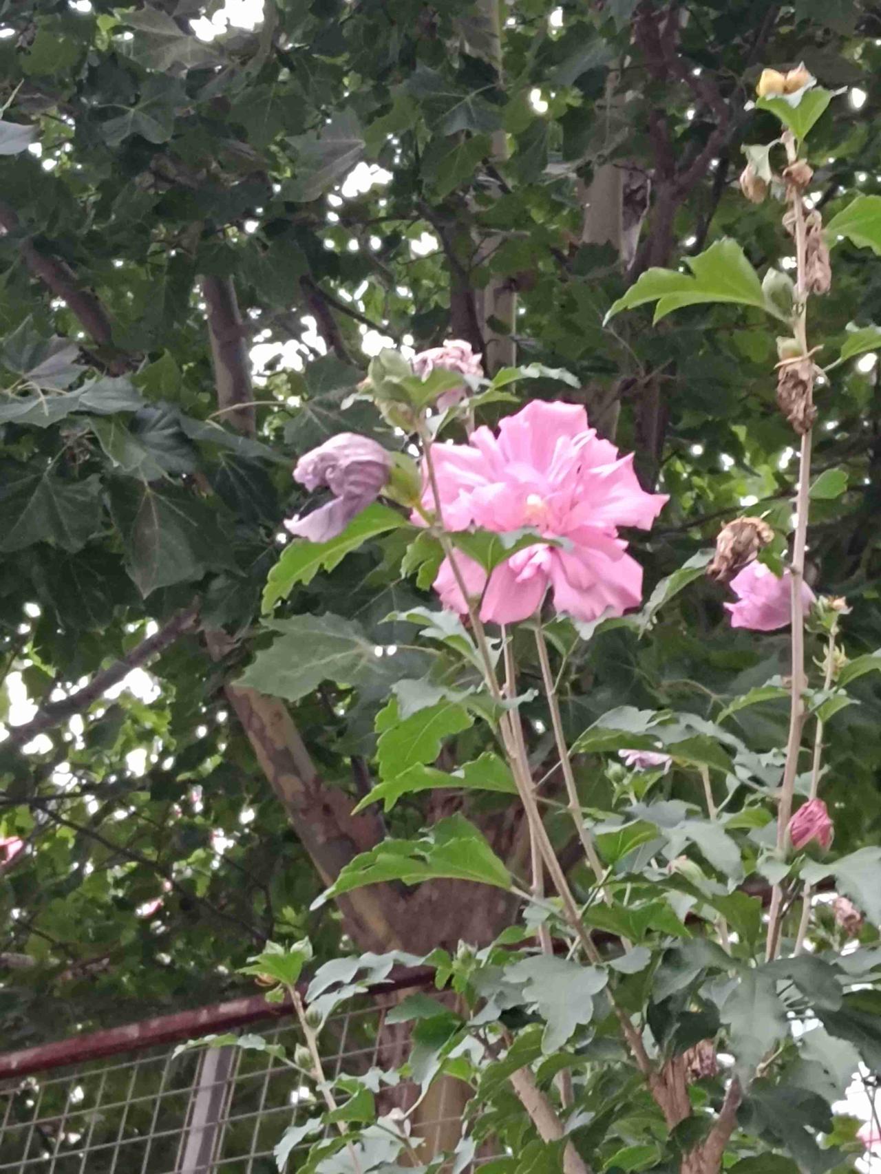 我的今日状态：💰期待暴富
我这里的天气：🌤️多云
