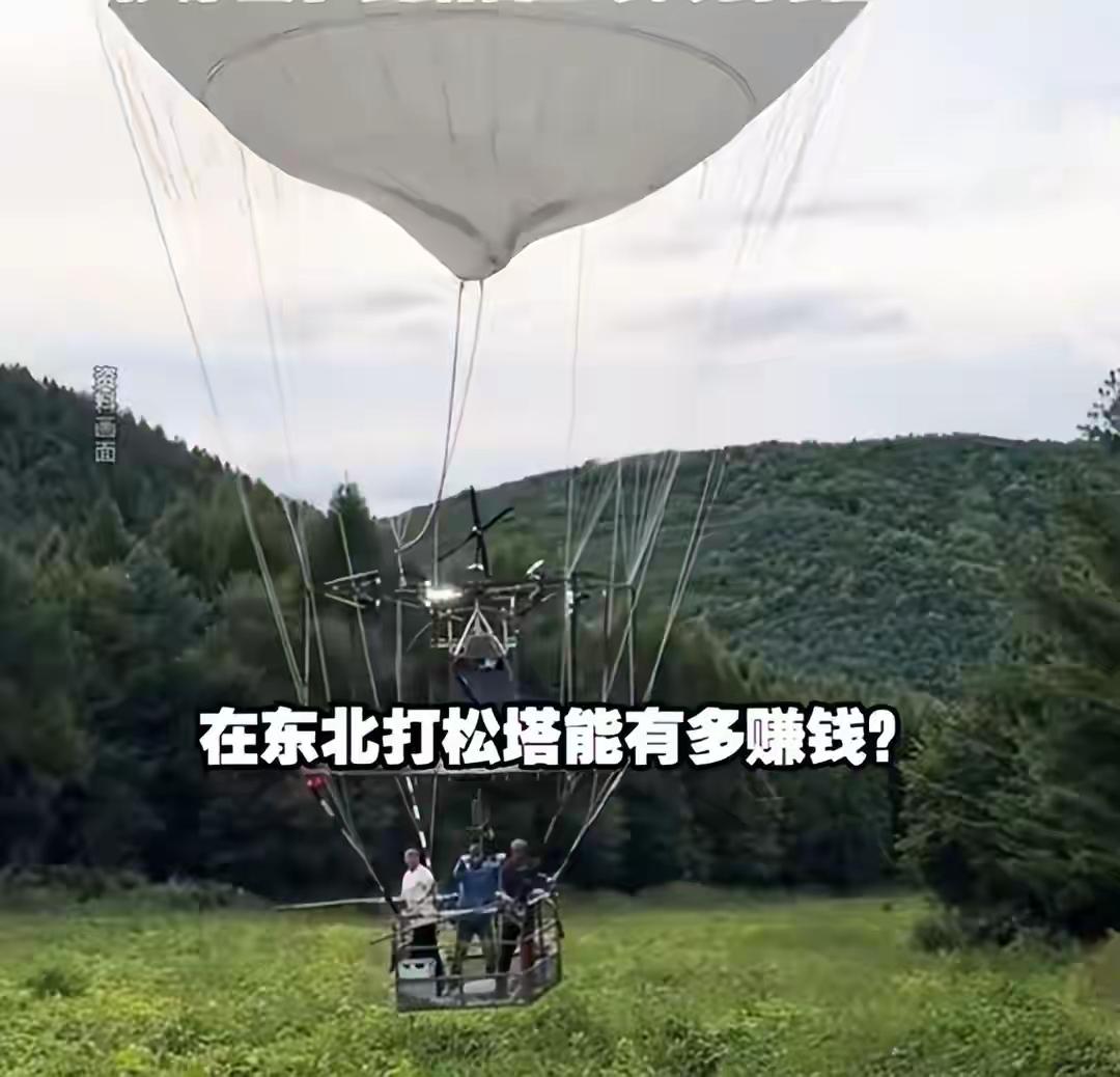 两个月赚20万！东北打松塔爆火，高薪背后全是拿命在搏🔥
 
吉林延边，打松塔工