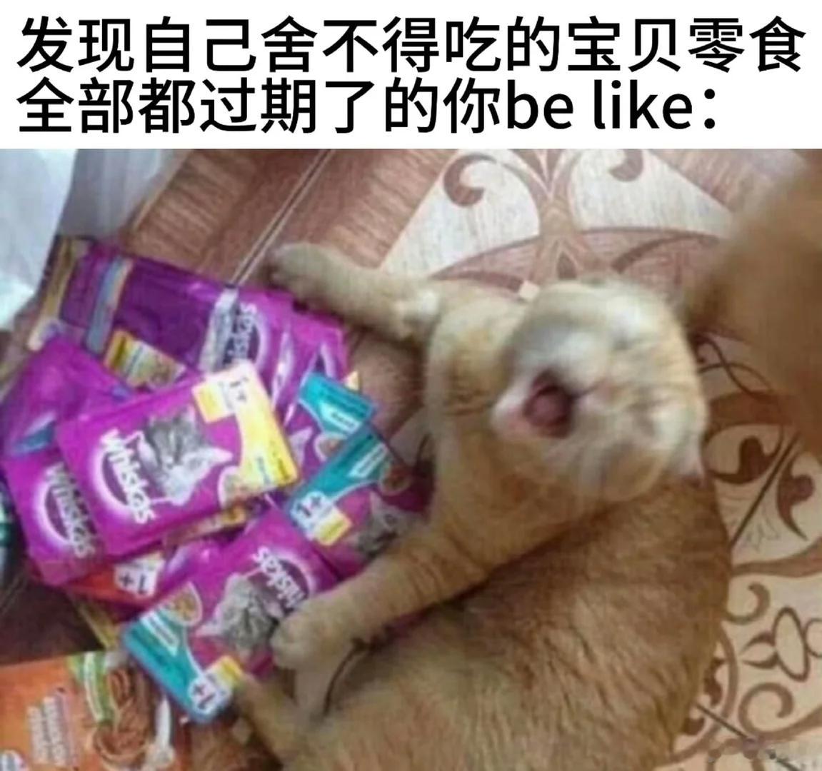 😱memes迷译图