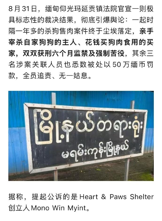 缅甸法院居然给杀狗买狗的双方都判刑了……
这画面怎么那么荒诞，尤其是我们知道这里