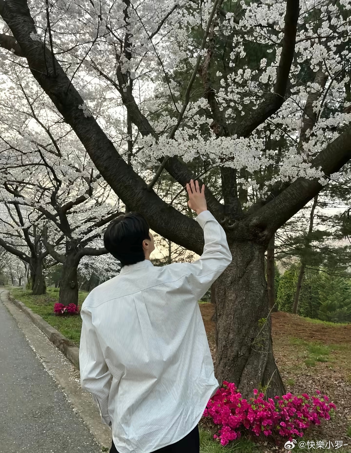 如氧气般的男人