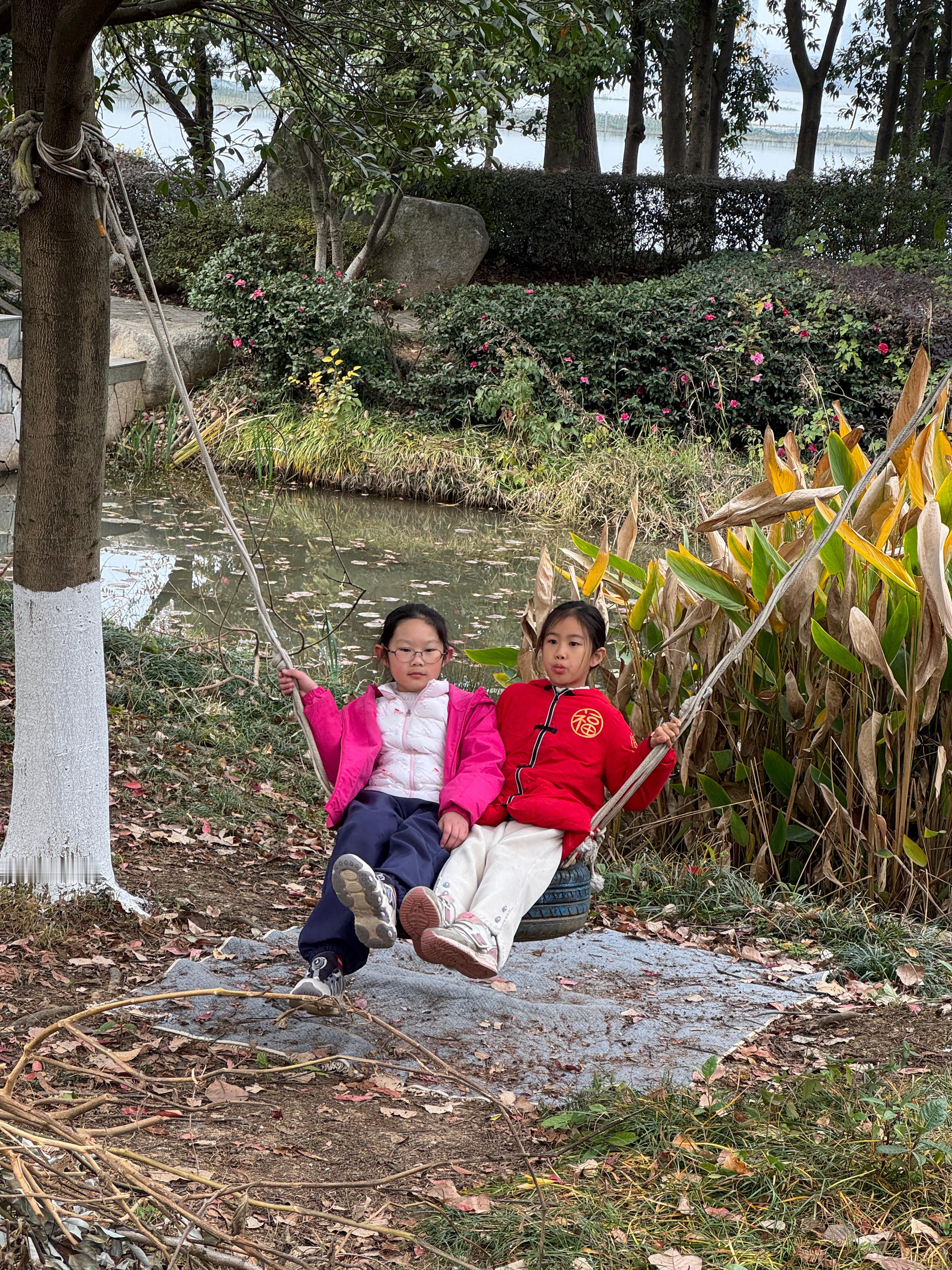 又是一个愉快的下午（图3是边牧跟拉布拉多玩的欢，非打架），这个小区总有些很有审美