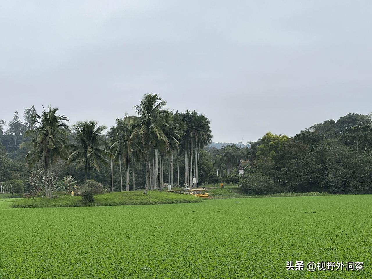 被关在井底的愚蠢，不是你的错。
你看见的，都是让你看见的，
你听到的，都是让你听