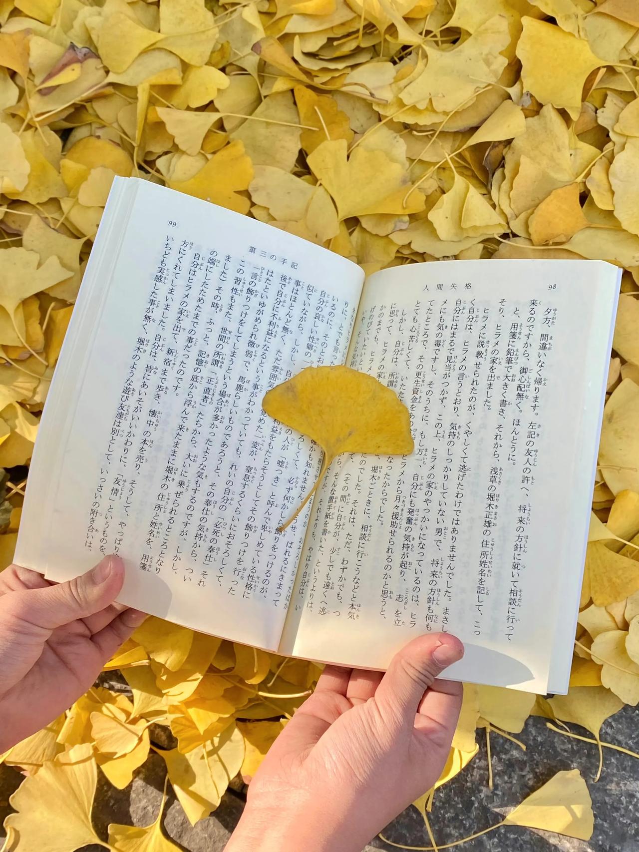 秋意渐浓