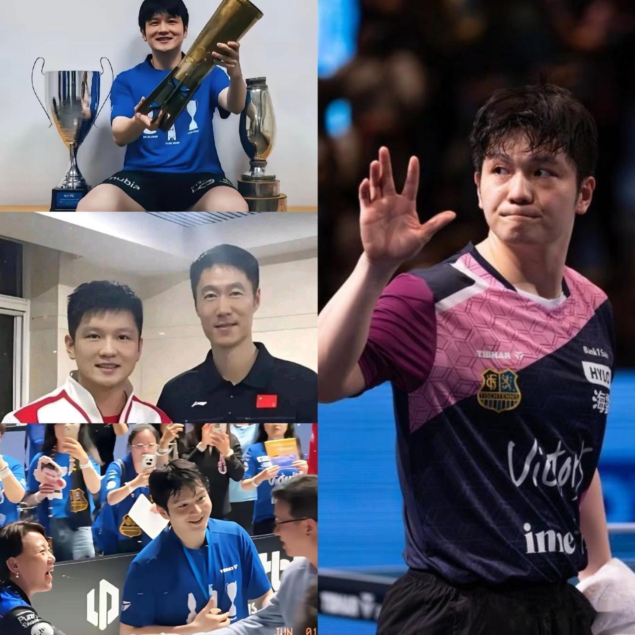 原定休整两月被迫提前归国！樊振东独自入训，
王励勤感慨职业素养出众！

樊振东与