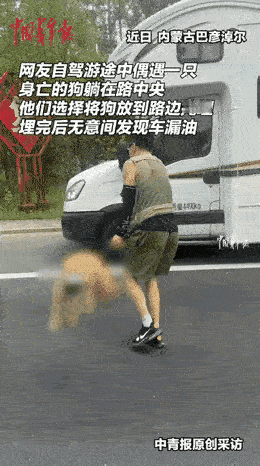 “这哪是埋狗啊，分明是给自己避了场祸！”内蒙古这对夫妻的经历，听着都让人心里一暖