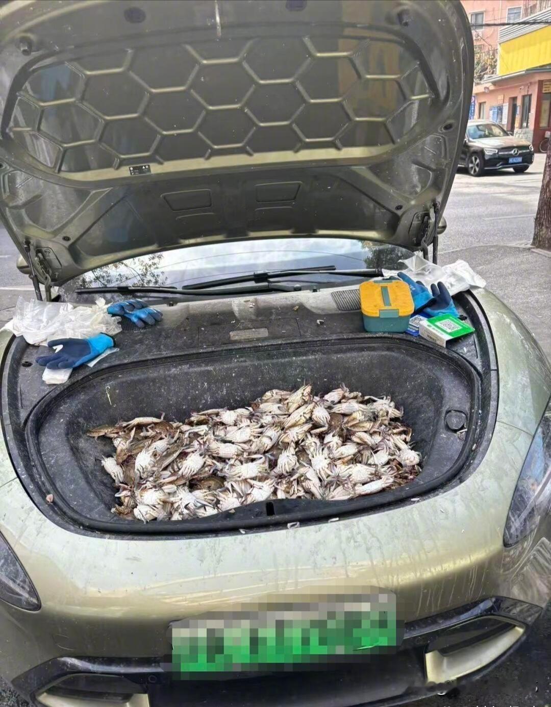 估计，三蹦子做梦都没想到；
有一天会还有如此“豪车”和它抢生计！
话说，车主也算