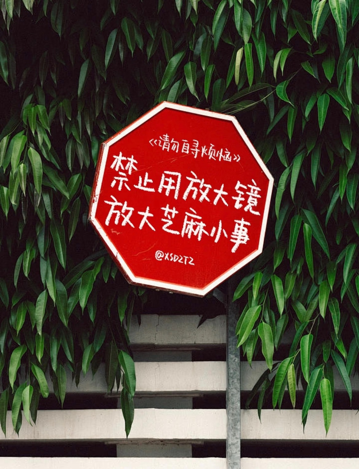 心态 决定一切 心态乐观的人 从不会因失败消极 更不会因挫折颓废 无论什么事情 