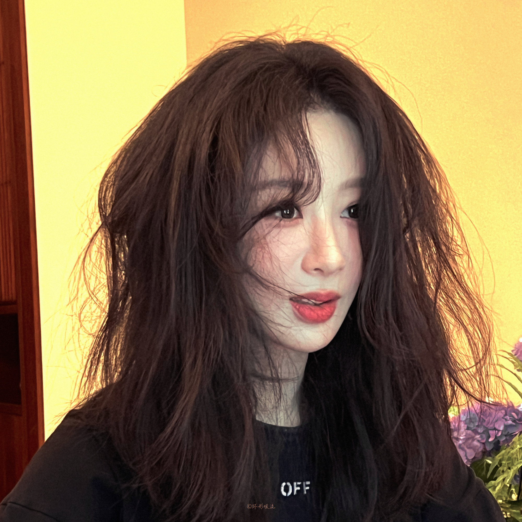 杨紫杨紫玉兰花开君再来  yz杨紫董竹君  你的微笑，是我心底永不落幕的暖阳，温
