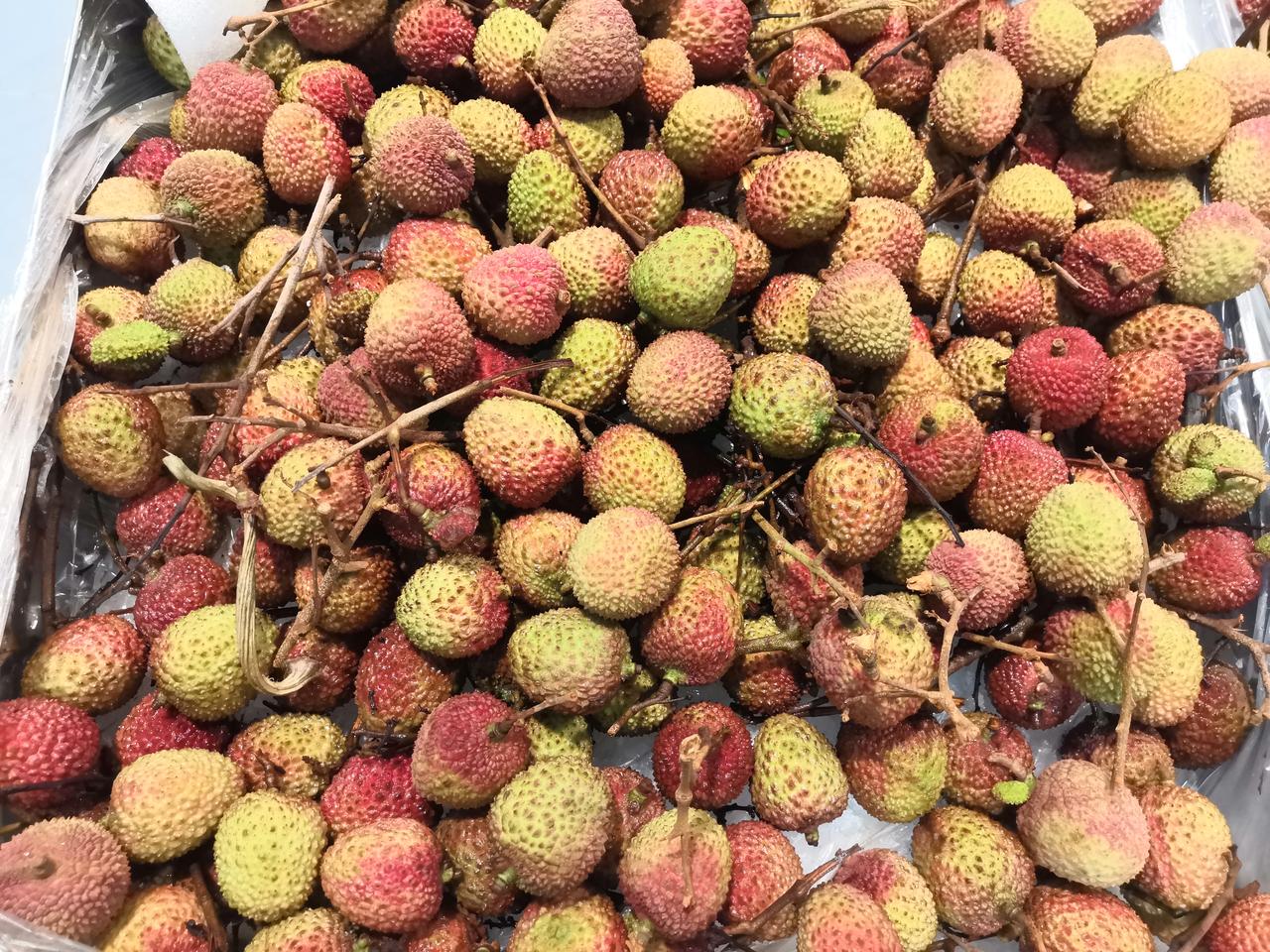 今天早上我去超市买水果，发现荔枝上市了，16.8元每斤的单价有点贵，让我觉得现在