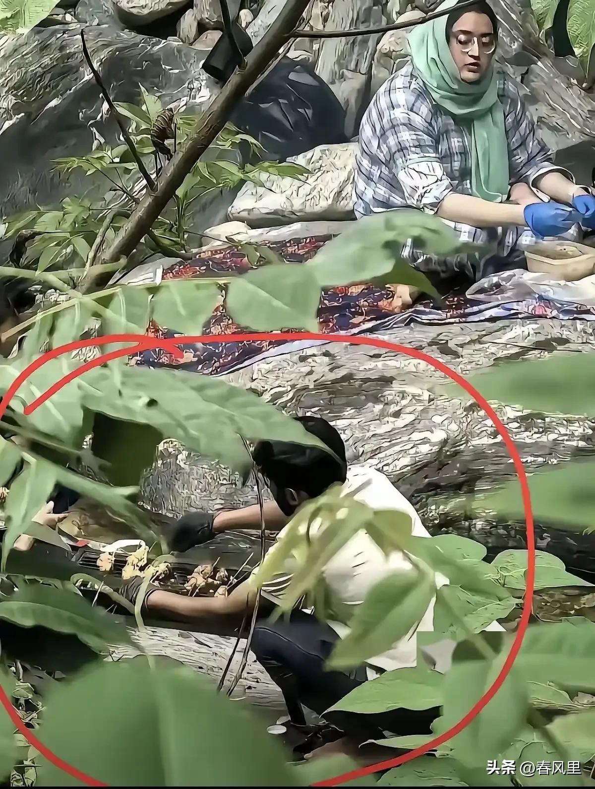 阿三在秦岭防火区内烧烤后续来啦。

近日，一起发生在秦岭的烧烤事件引发了公众的高