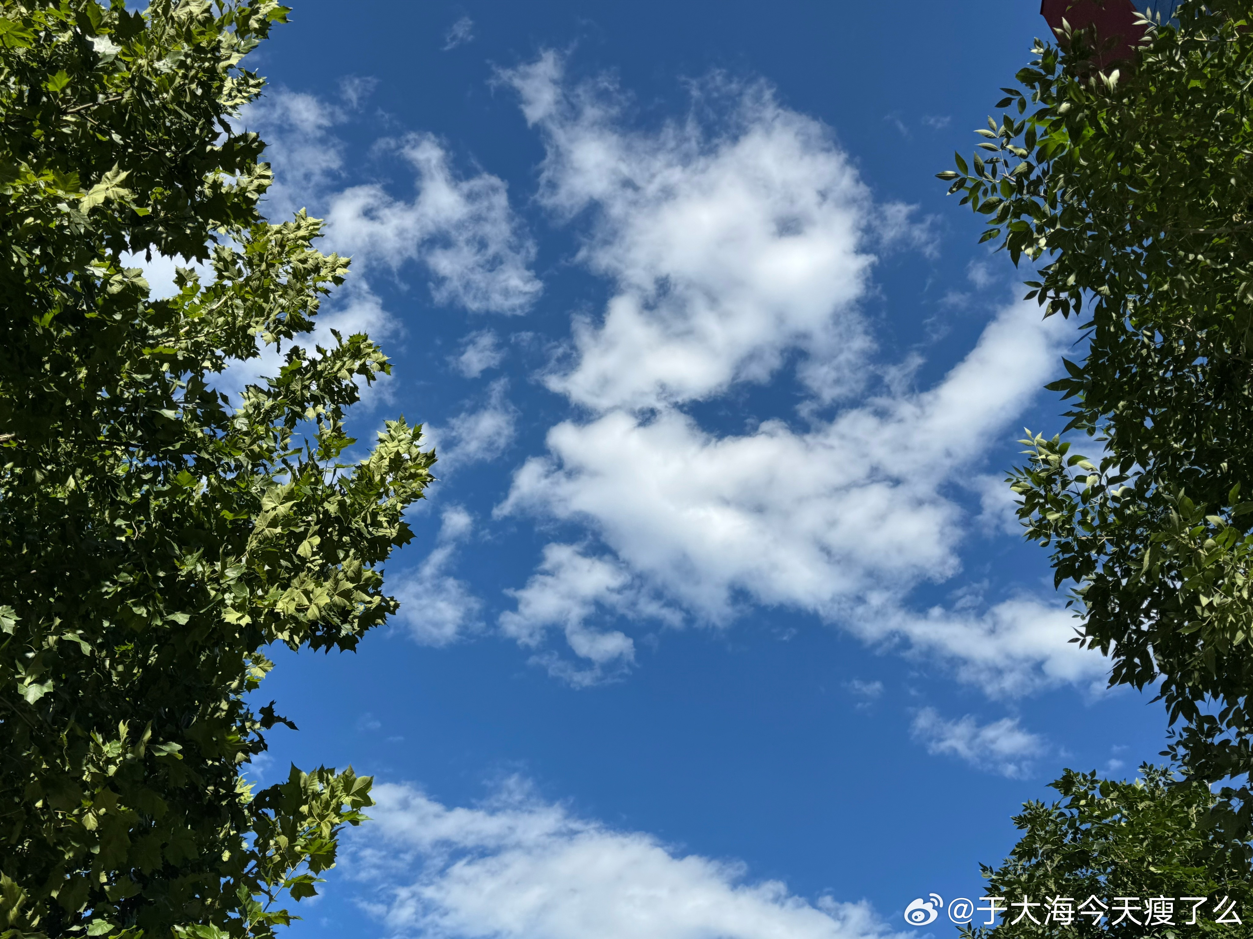 吉隆口岸发现婴儿用品[苦涩][苦涩][苦涩] 天呐！希望孩子大人平安逃离小小的一