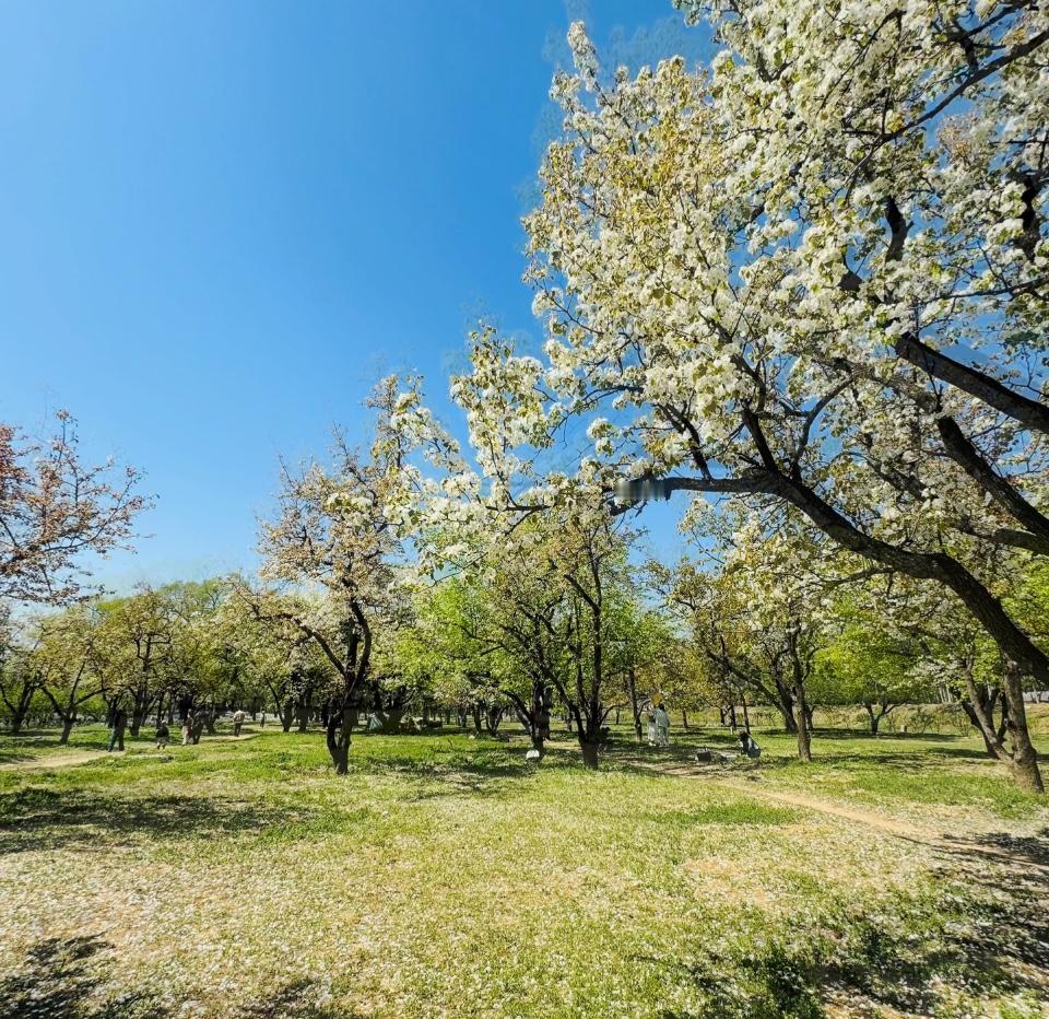 你还好吗？其实在燕郊的昔日买房人，已经练就了一颗金刚心！

环京燕郊房产大起大落