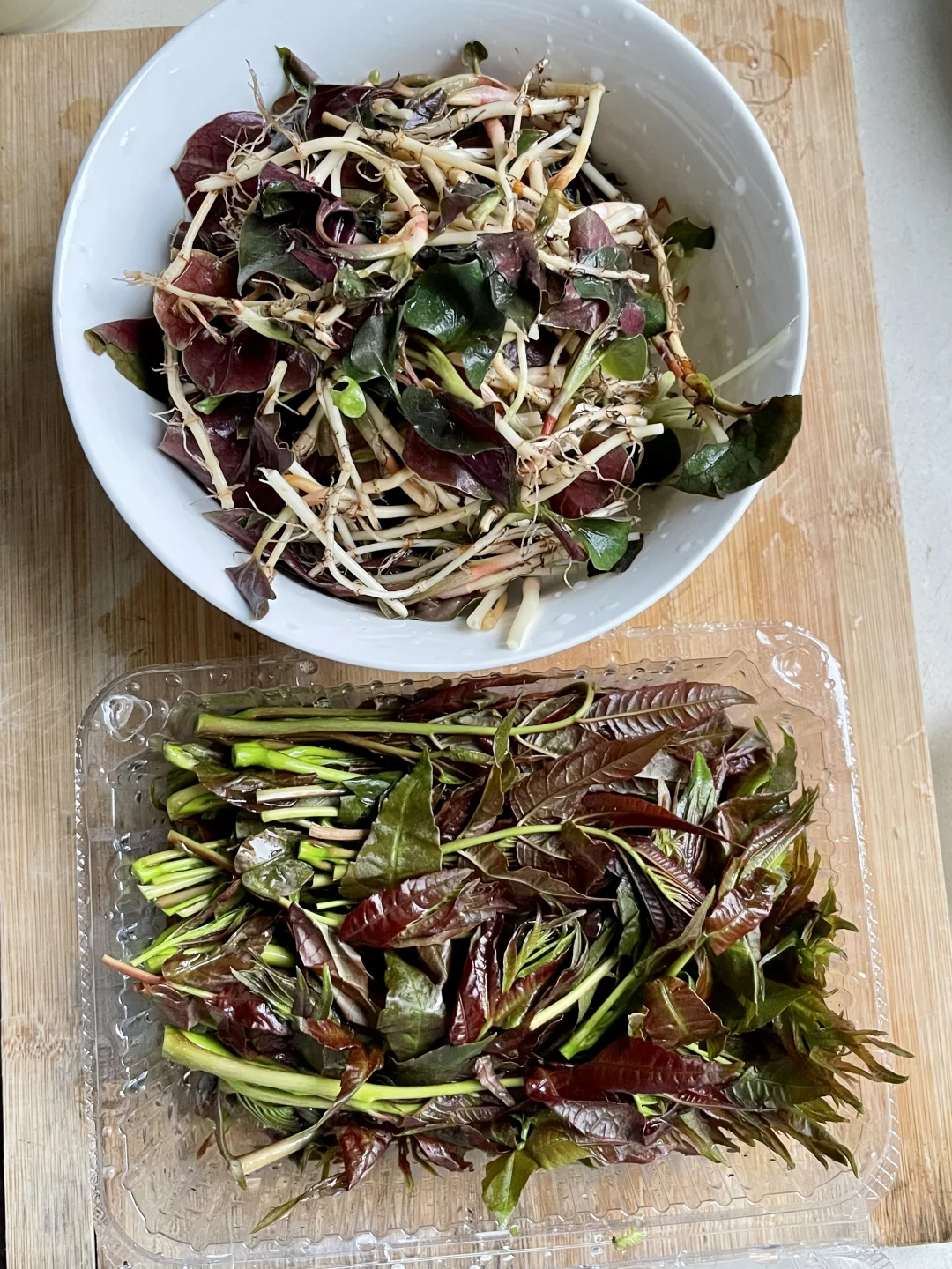 春天贵州人的噩梦……不会有人都吃吧……