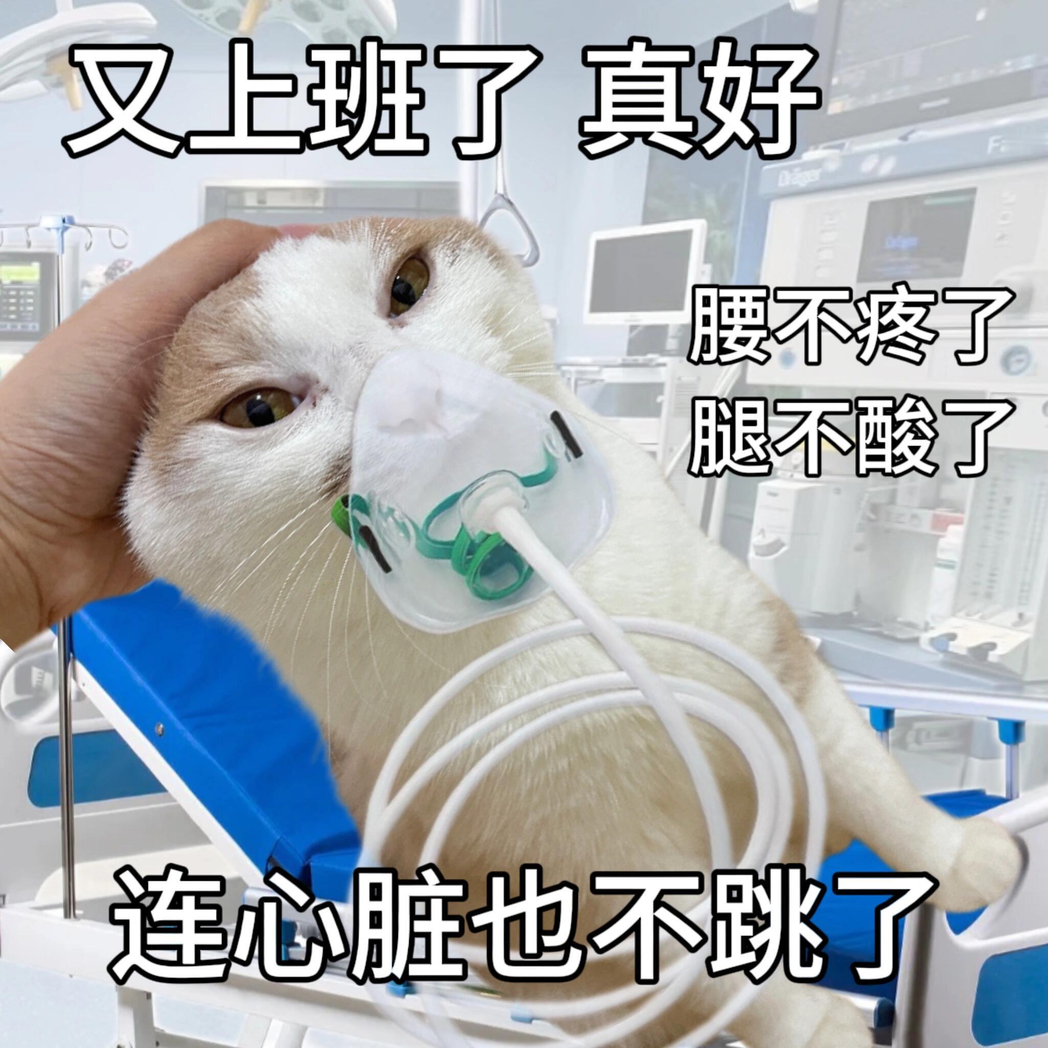 三天过去竟然才周二[晕][晕]#一辈子都没有这周长# ​​​