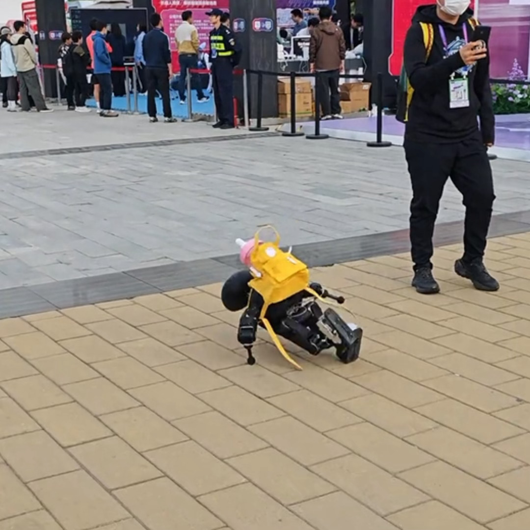 来看机器人半马比赛哈哈哈哈哈哈哈哈矫健如飞的第一名、中途饭撒选手、豆包姐，还有没