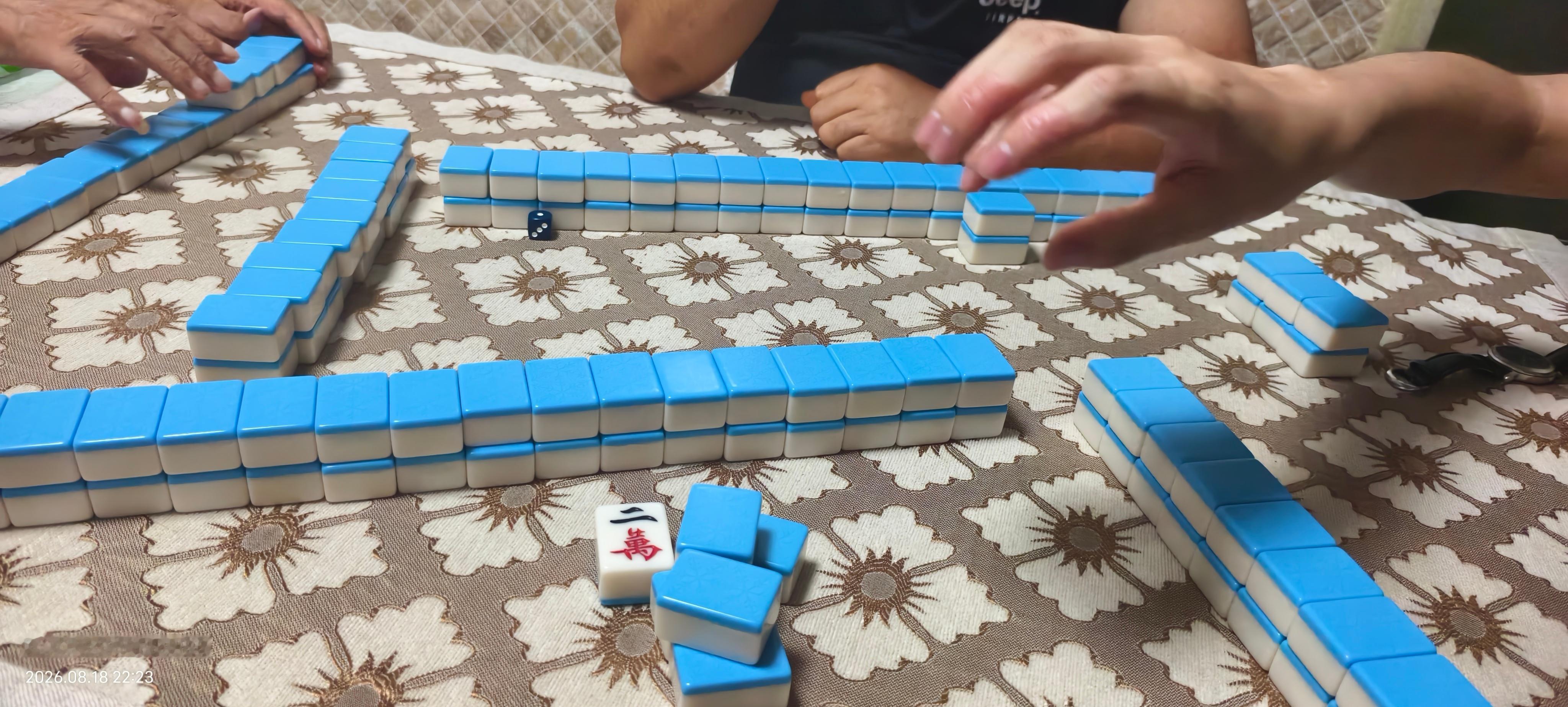 每天被儿子拉着打🀄️，又菜又爱玩！！ 