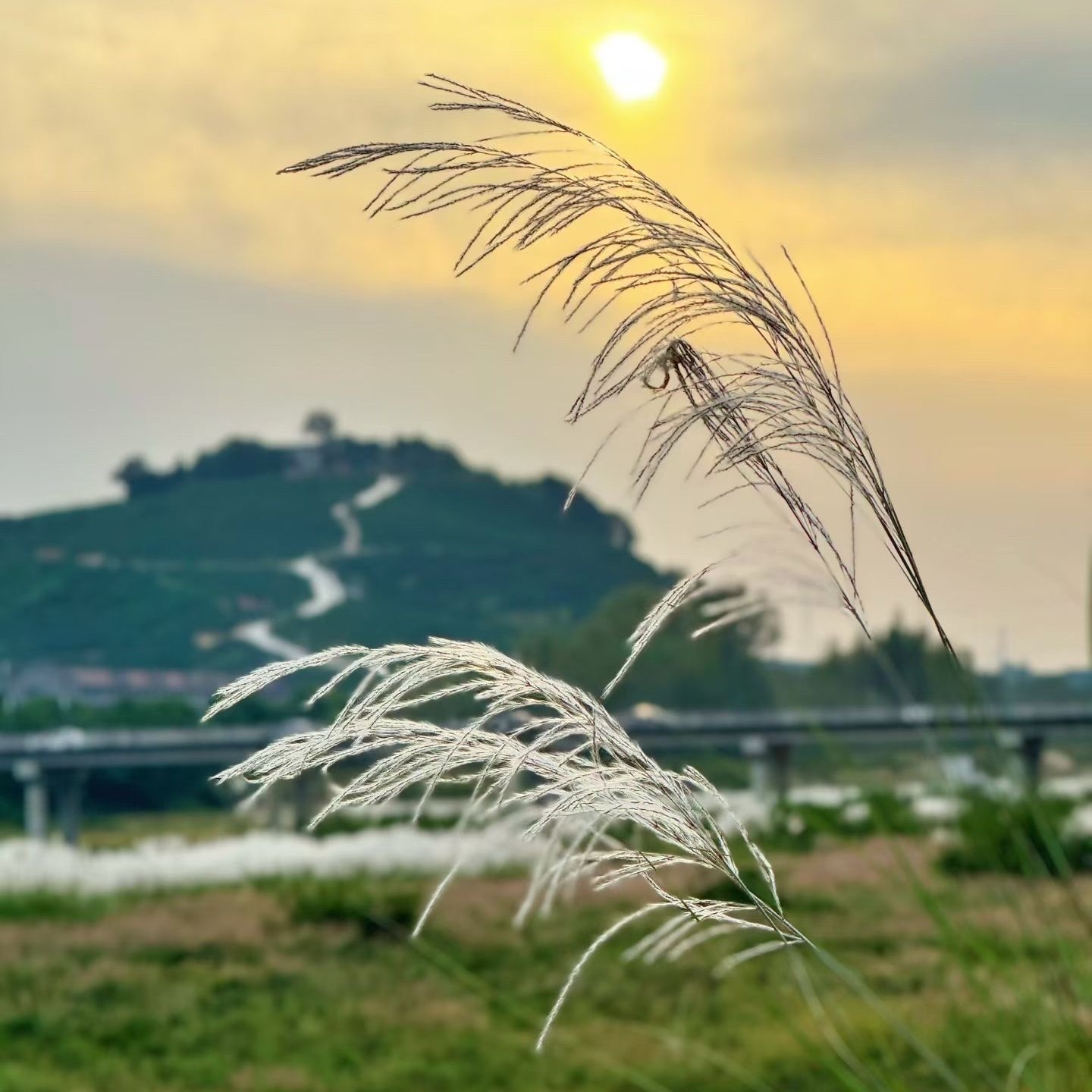 日行一善          古人说“人之初，性本善”，就是对人的感悟和研究的结晶