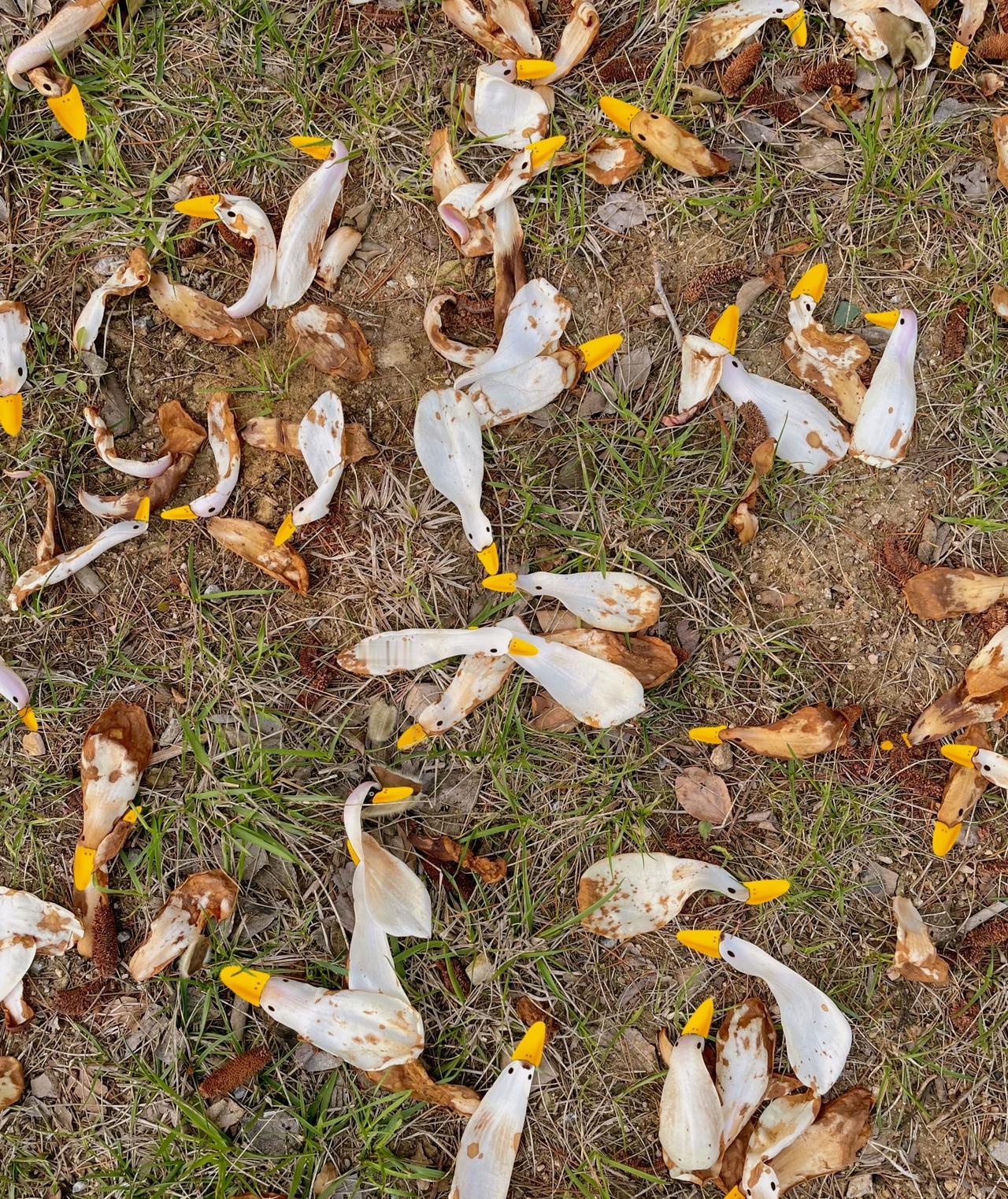 三十年了一事无成
折腾大半辈子了干啥啥不成，活过得还是迷迷糊糊的，这辈子是不是完