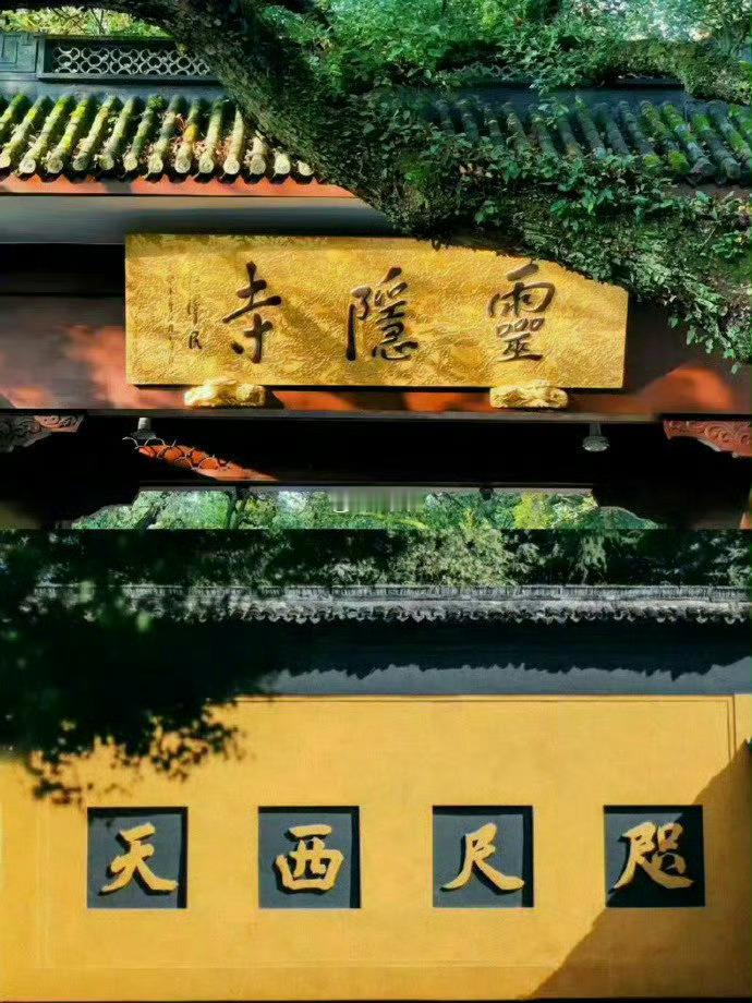 灵隐寺刷到不要无视 评论很灵🙏 