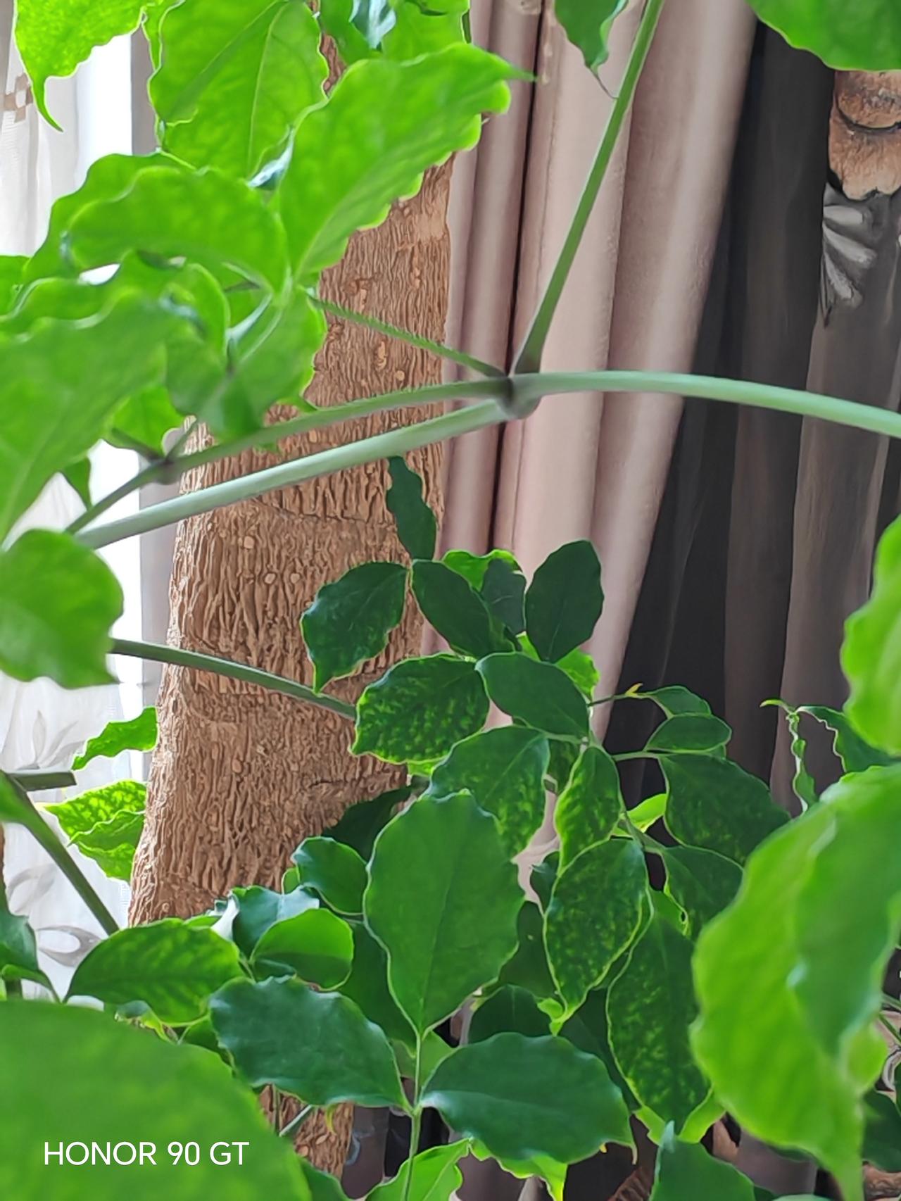 春天花会开，
快乐每一天，