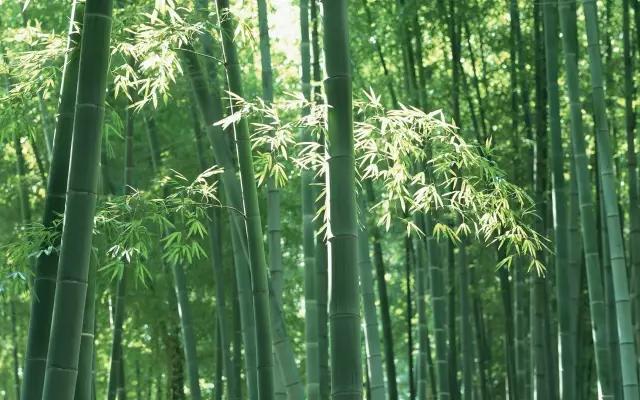 真正在胡编乱造历史的人是哪些? 
一是境外反华势力及其网络代理人，刻意编造谣言抹