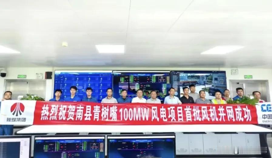 陕煤电力长安湖南新能源科技有限公司南县青树嘴100MW风电项目首批风电机组并网一