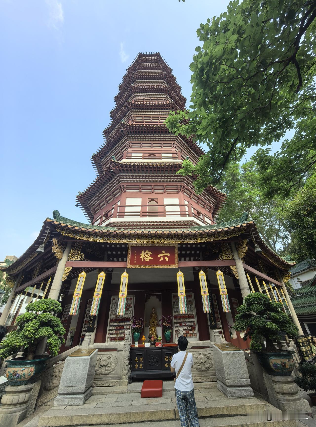 六榕寺的荷花静悄悄地开了！
广州赏花去哪
这几年，六榕寺、海幢寺都成了拍荷花的网