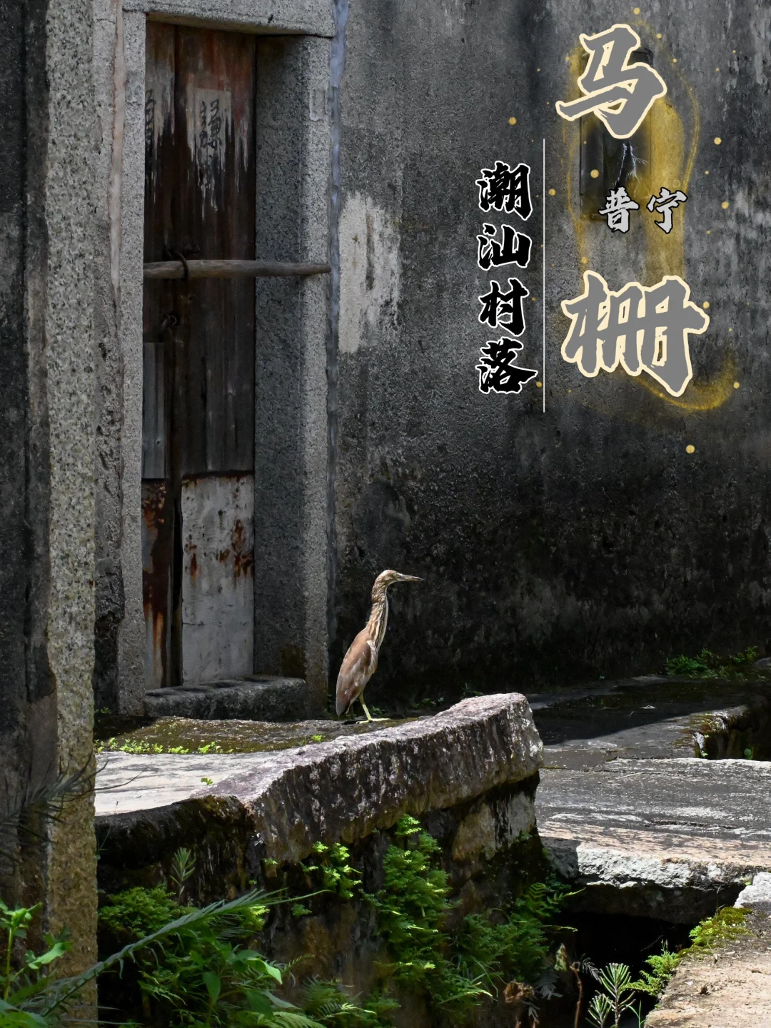 普宁乡行录227|马栅