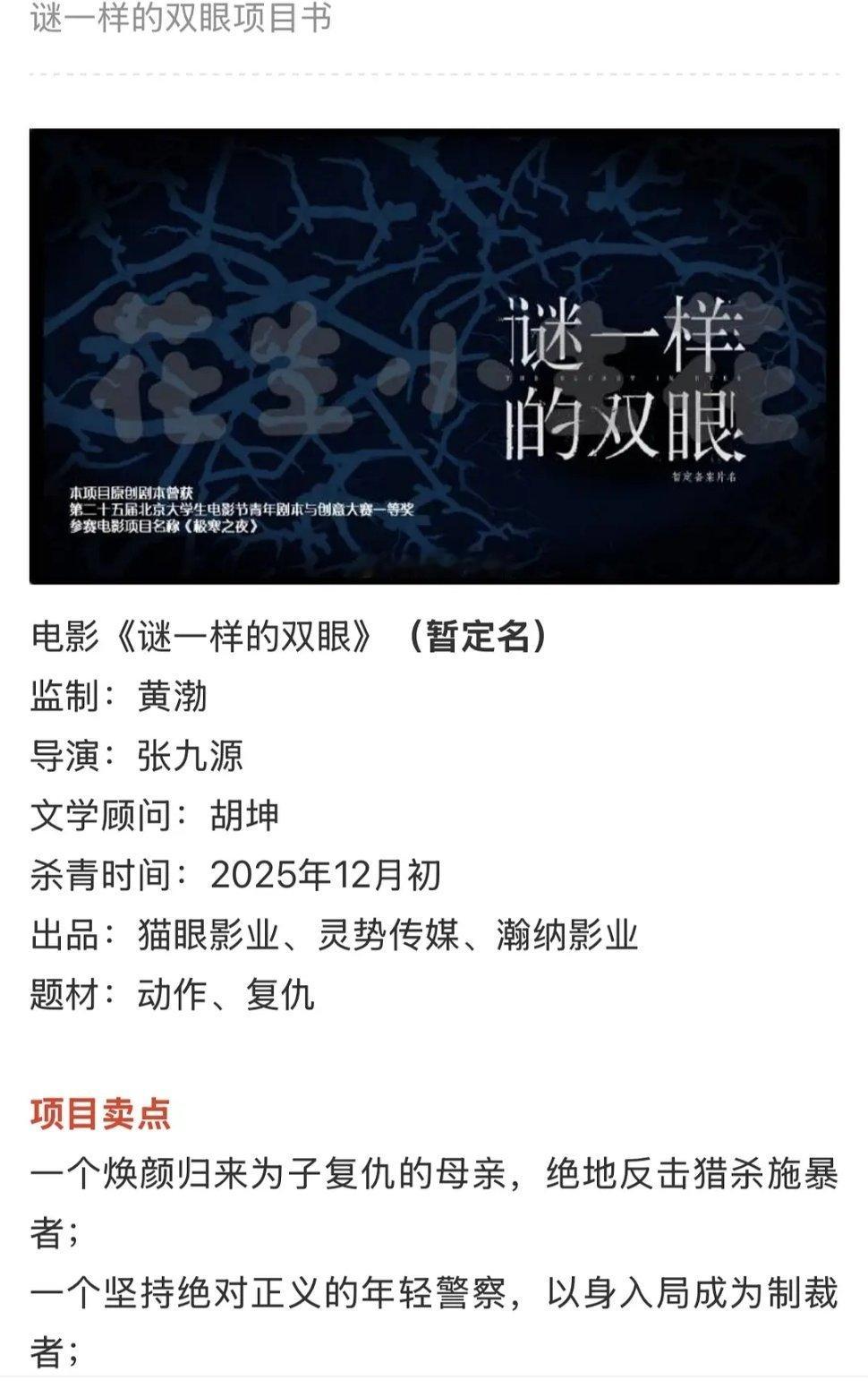 项目书：倪妮陈飞宇《谜一样的双眼》 