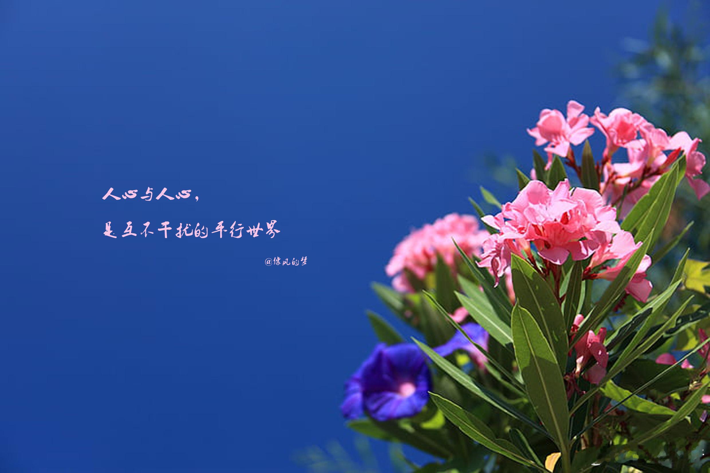 #生活感悟[超话]# 1.实现不了梦想，也要尽力奔跑在路上，去蹭梦想的边儿，与自