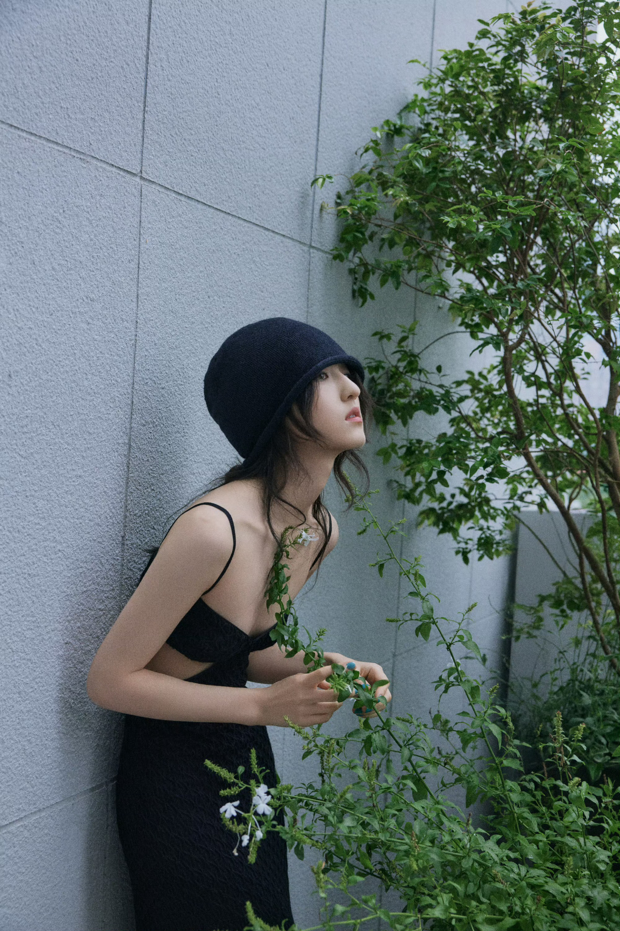 张子枫短发让妹感又出现了与其说张子枫的短发又让妹感出现了，还不如说短发的张子枫又